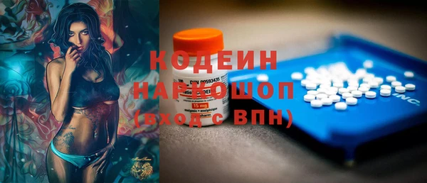 ПСИЛОЦИБИНОВЫЕ ГРИБЫ Арсеньев