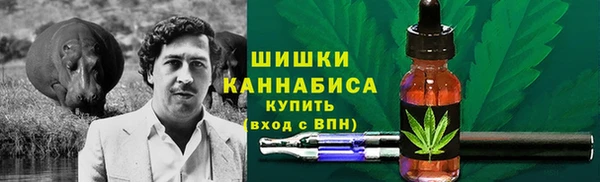 ПСИЛОЦИБИНОВЫЕ ГРИБЫ Арсеньев