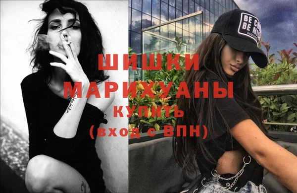 ПСИЛОЦИБИНОВЫЕ ГРИБЫ Арсеньев