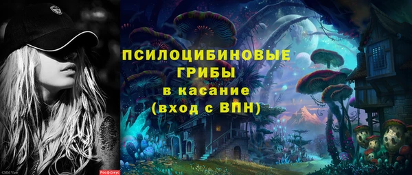 ПСИЛОЦИБИНОВЫЕ ГРИБЫ Арсеньев