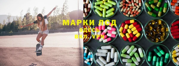 ПСИЛОЦИБИНОВЫЕ ГРИБЫ Арсеньев