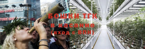 ПСИЛОЦИБИНОВЫЕ ГРИБЫ Арсеньев