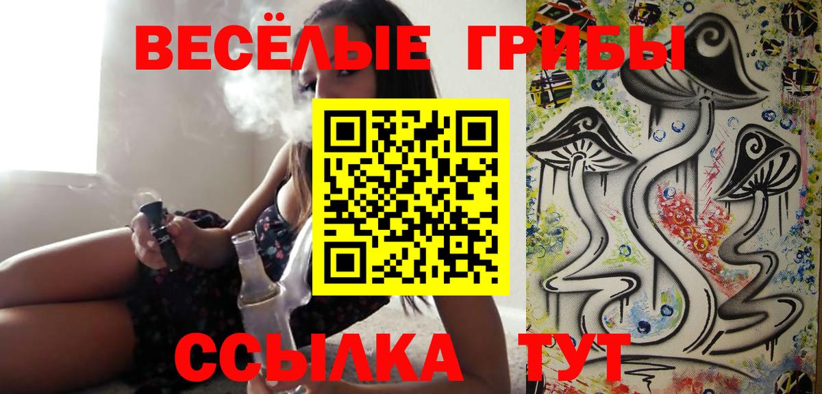 Псилоцибиновые грибы ЛСД  цены   Светлоград  Галлюциногенные грибы прущие грибы  Вход с VPN 