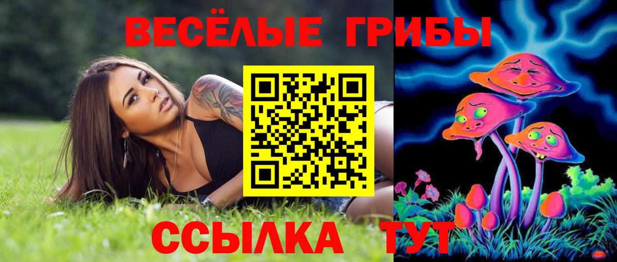 Галлюциногенные грибы Psilocybine cubensis Светлоград